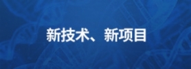 新技术 、新项目