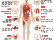 【成飞医院科普】世界肥胖日|正确认识肥胖
