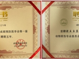 喜报！成飞医院急诊科在2025年动物致伤专业委员会学术年会斩获多项荣誉